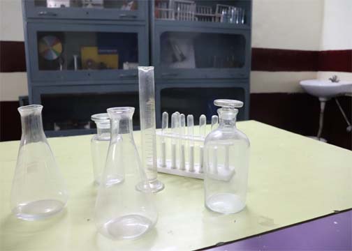 Bud's Paradise School Science Lab